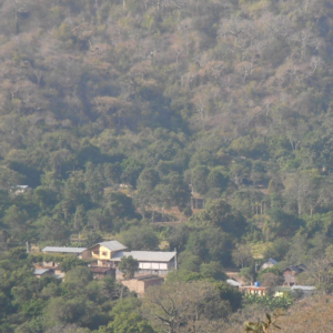 Comunidad de Casas Viejas