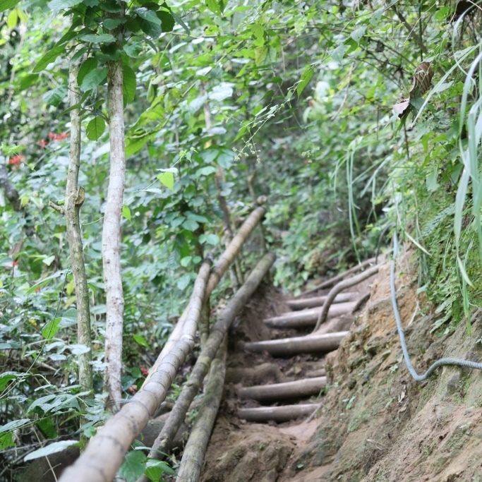 Escalinata para llegar a la cascada de Agua Dulce