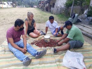 Cosecha de café en San Francisco de Paján