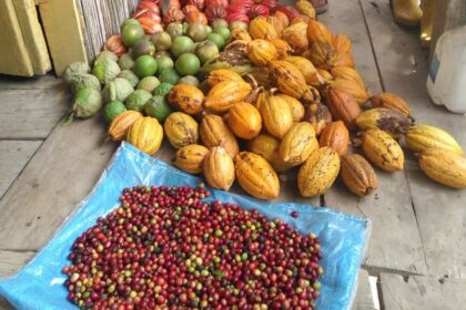 Producción agro-ecológica en San Francisco de Paján