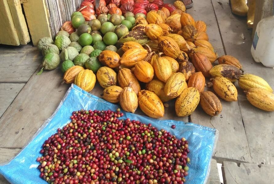 Producción agro-ecológica en San Francisco de Paján