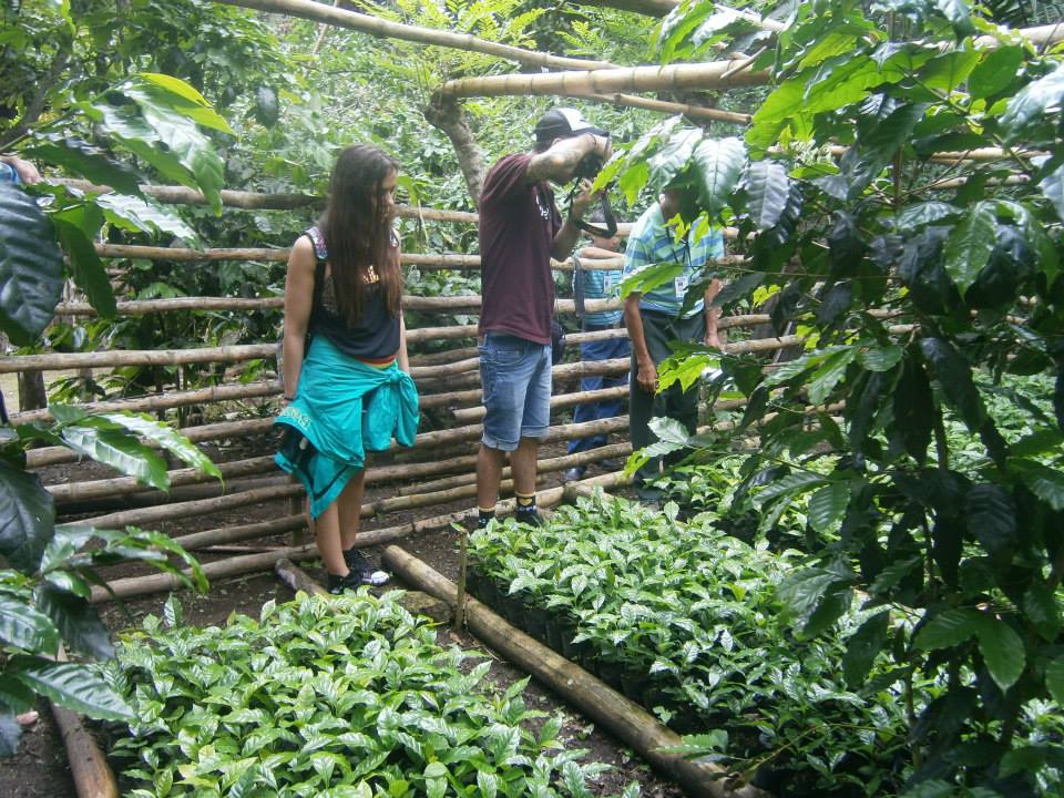 Turistas visitando el vivero de plantas en Pisloy