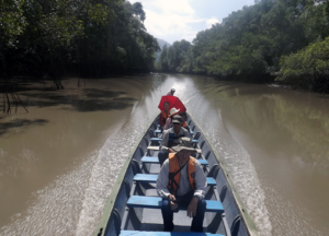 Reserva ecologica Manglares Churrute. Tour en barco