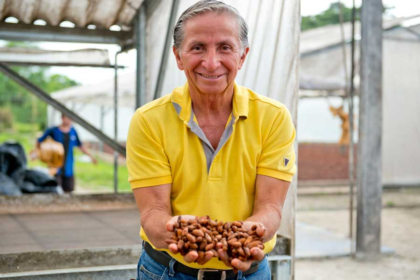 Productor de Cacao