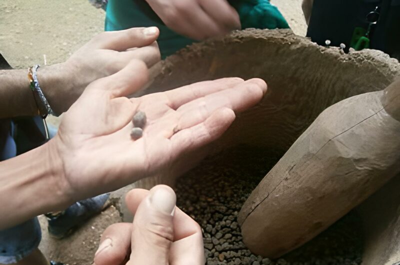 Aroma a café - bunque tradicional